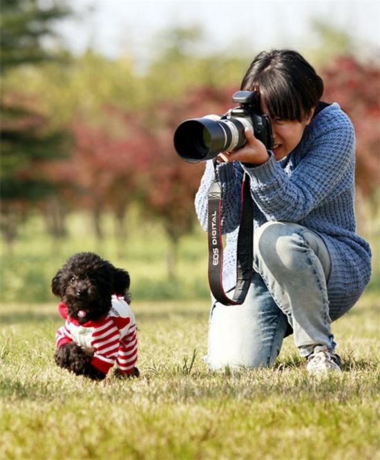 宠物摄影师
