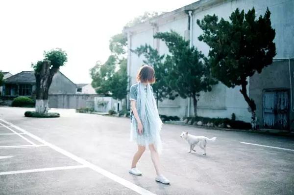 ĲͣʼФ½壺Աƾʲôô