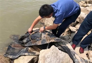 “三峡水怪”被打捞上岸 实际为一块黑色帆布