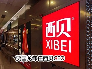 贾国龙卸任西贝CEO
